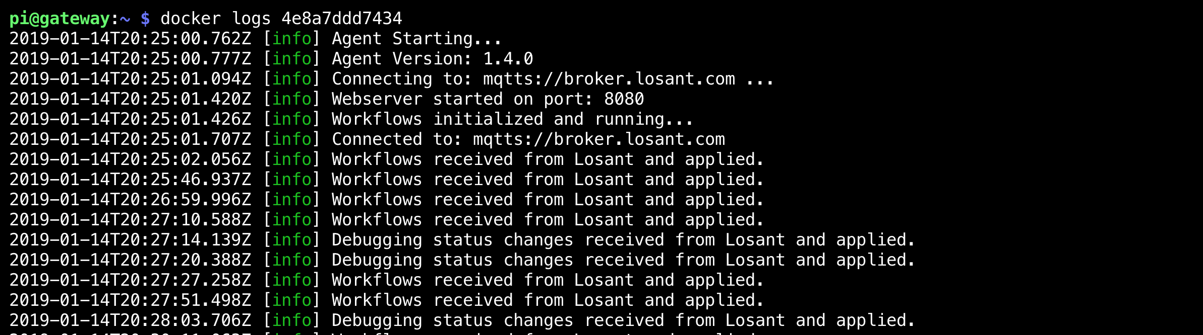 Pi Docker Logs