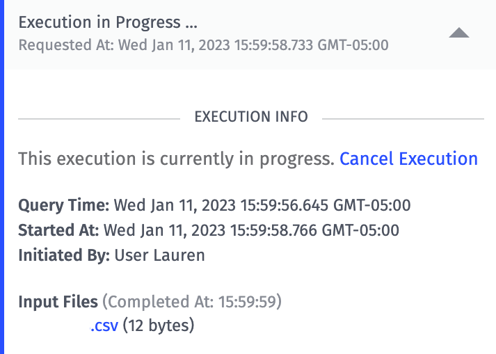 Notebook Execution Processing