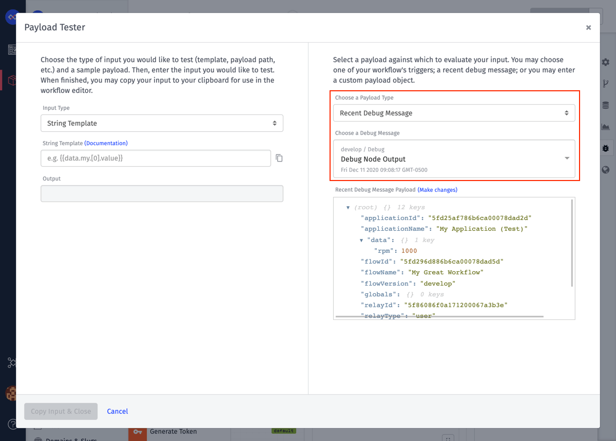 Debug Message Payload Type